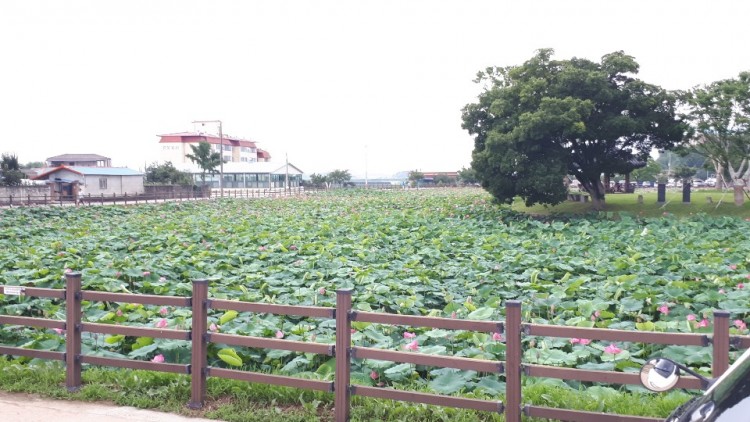 5c24212a5a5bf8b219aa37b29c2b4440_1564468